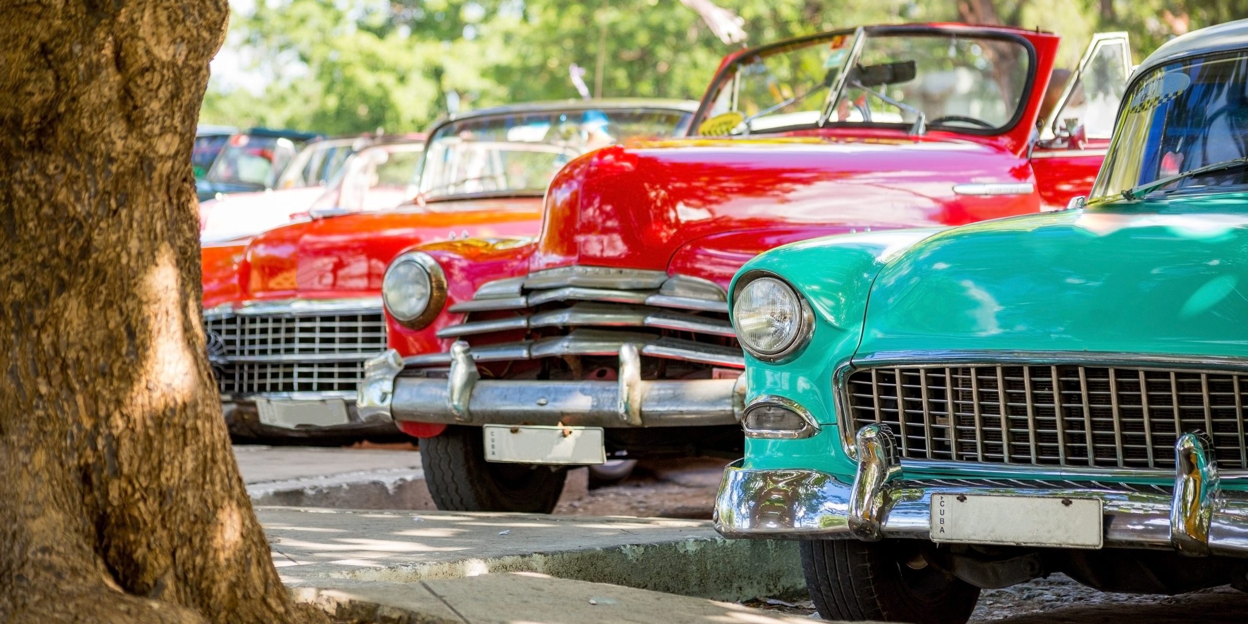 Vintage classic cars parked under trees, symbolizing the need for collector car insurance in Texas.