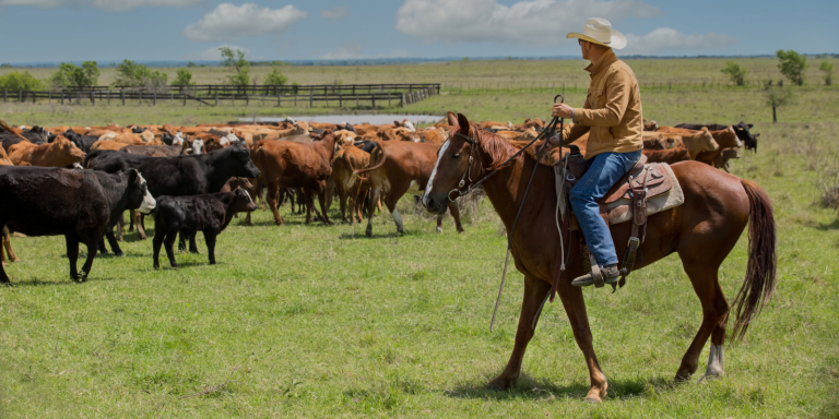 Farm and Ranch Insurance in Texas | Galloway Insurance
